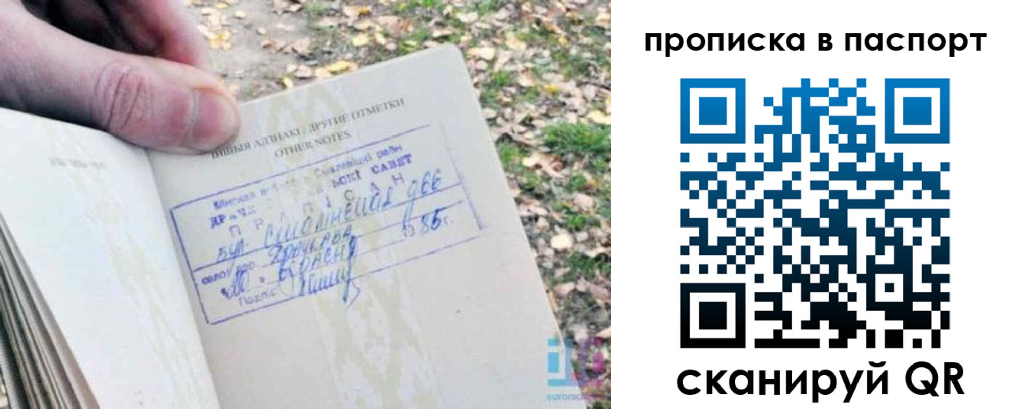 купить прописку в Завитинске